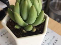 -唐廊烤鸭店(工体店)