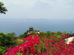 -东澳岛