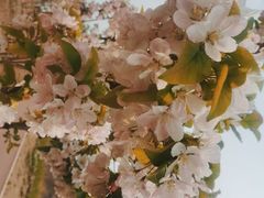 -海底捞火锅(龙湖北京大兴天街店)