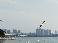 -蠡湖大桥公园