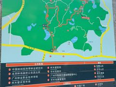 -火炉山森林公园