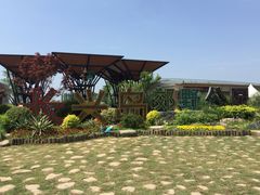 -上海长兴岛郊野公园