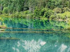 -西姆山居酒店(九寨沟沟口店)