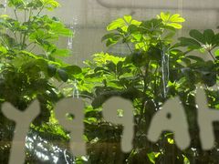 -绿小院(荔湾店)