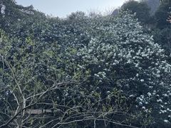 -黄公望隐居地