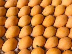 -城南综合水果批发市场(花园路店)