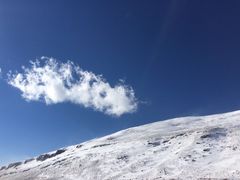 -峡谷浮石林景区