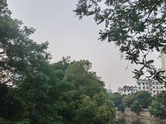 -老赵面店(大西路店)