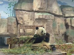 -无锡动物园·太湖欢乐园