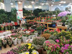 -双季花艺园艺市场(浦东店)