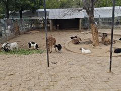 -武汉紫薇都市田园