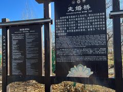 -泸沽湖国家级风景名胜区走婚桥