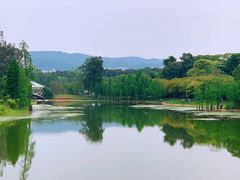 -华南国家植物园-售票处