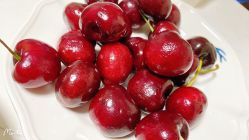 -Oasis Beauty水磨坊科技美肤中心