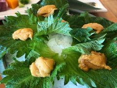 鲜活海胆-王鼎精致料理铁板烧(世博源店)