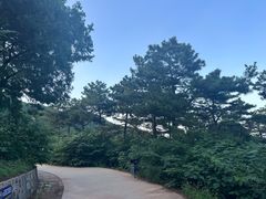 -北京西山国家森林公园