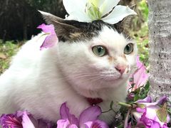 -火炉山森林公园