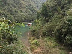 -后柳水乡