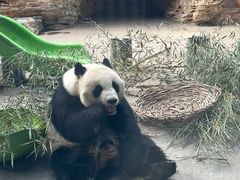 -石家庄市动物园
