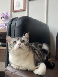 -长沙纹身·龙堂刺青·三土师傅的店