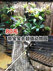 -酷嗒动物文化乐园(cutezoo西溪乐天城店)