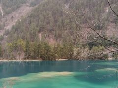 -九寨沟-树正沟