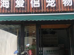 -爱侣宠医·鹦鹉专科·小型哺乳类·异宠专科(灵石路店)