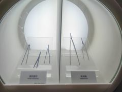 -广东科学中心
