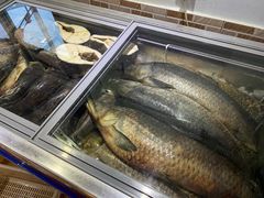 -大鹅岛灶台鱼·铁锅炖(水库路店)