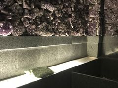 -重庆南山海昌汤都