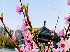 -临汾涝洰河生态公园