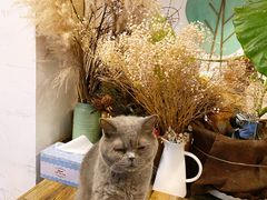 -小时光咖啡馆(北锣鼓巷店)