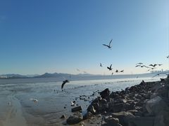 -深圳湾公园(南山区)