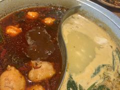 -青瓷火锅料理(西单大悦城店)