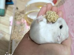 -万达广场(南京江宁店)