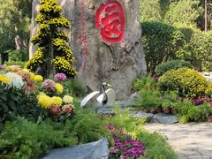 -香山公园