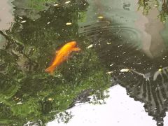 -浙江西子宾馆·牡丹厅