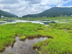 -腾冲北海湿地