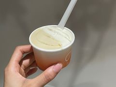 -Dip in Gelato(富民路店)