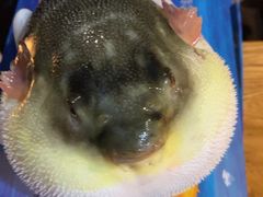 -永安鱼庄·镇江菜(丁卯店)