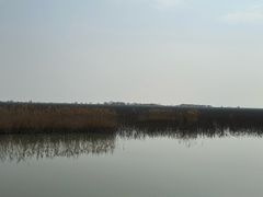 -泗洪洪泽湖湿地景区