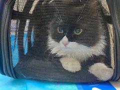 -芭比堂动物医院·CT·微创中心(新顺分院)