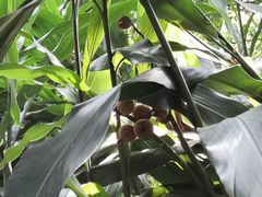 -十九路军淞沪抗日阵亡将士陵园