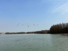 -上海海湾国家森林公园