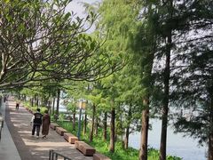 -顺峰山公园