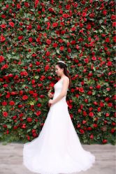 -薇视觉婚纱摄影工作室·婚纱照·结婚照