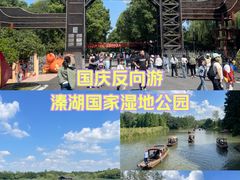 -溱湖国家湿地公园