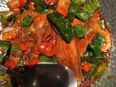 -鸽子侯·家宴·平价海鲜(市图书馆店)