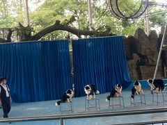 -泉州海丝野生动物世界