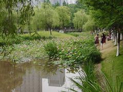 -沐仙湖湿地公园